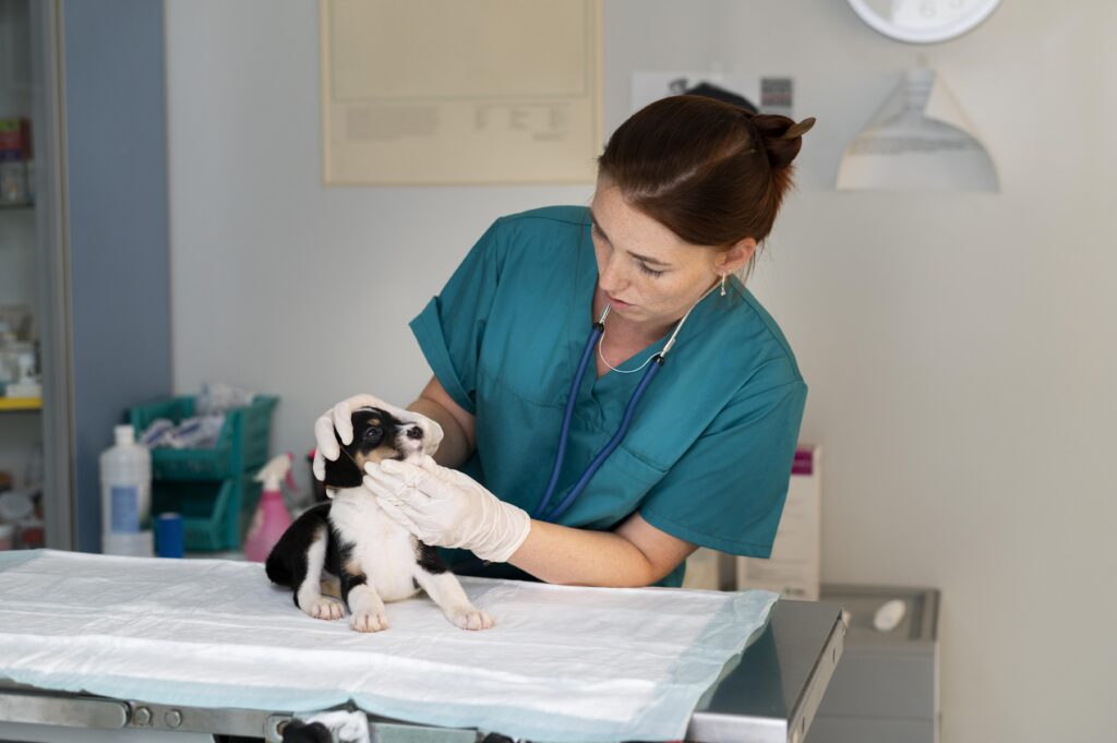 Veterinarian examining a dog during a clinic visit