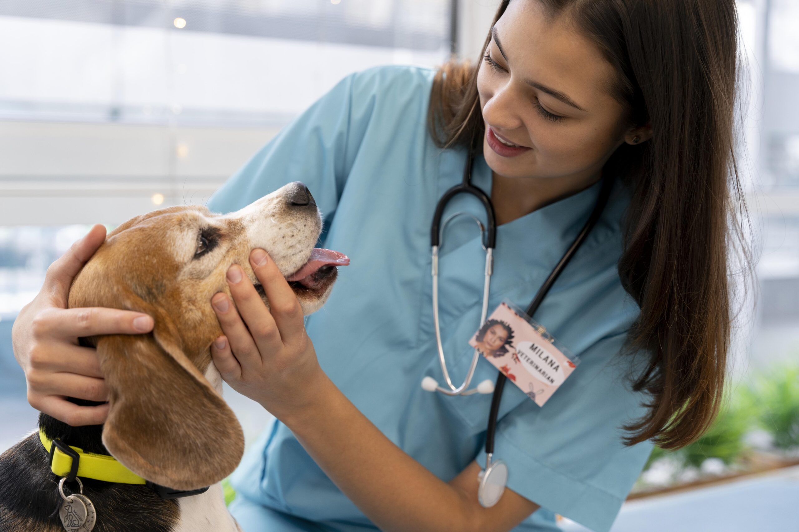 How a Multi-Doctor Practice Prevented Appointment Backlogs by Rapidly Deploying an Associate Veterinarian