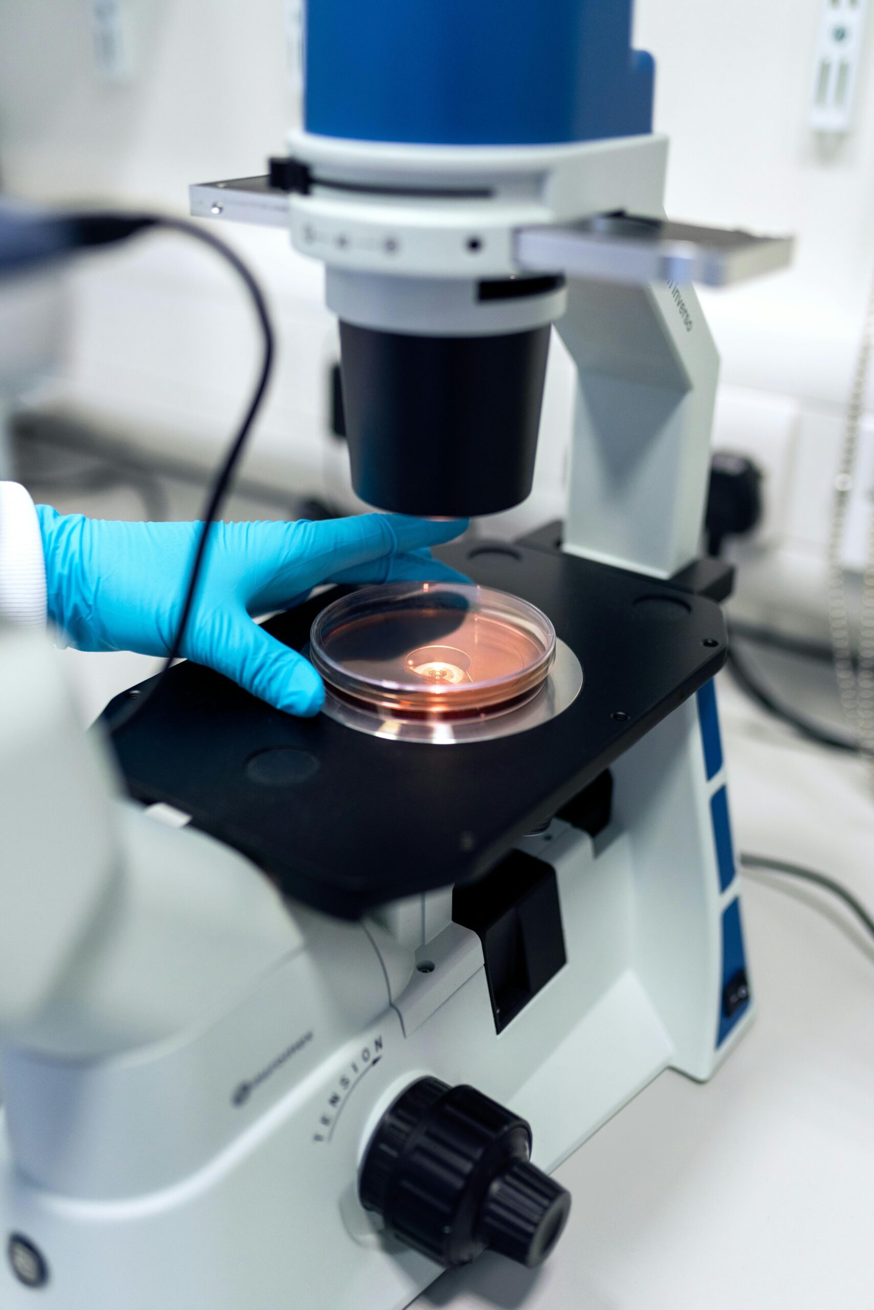 Scientist using a microscope to examine petri dish samples in a laboratory setting.