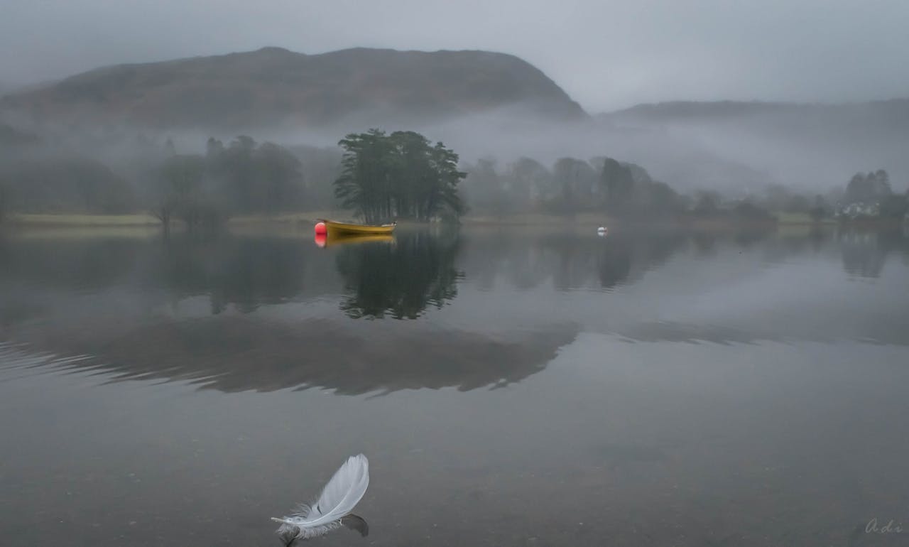 Strengthening Federal Workforce Solutions with Pulivarthi Group