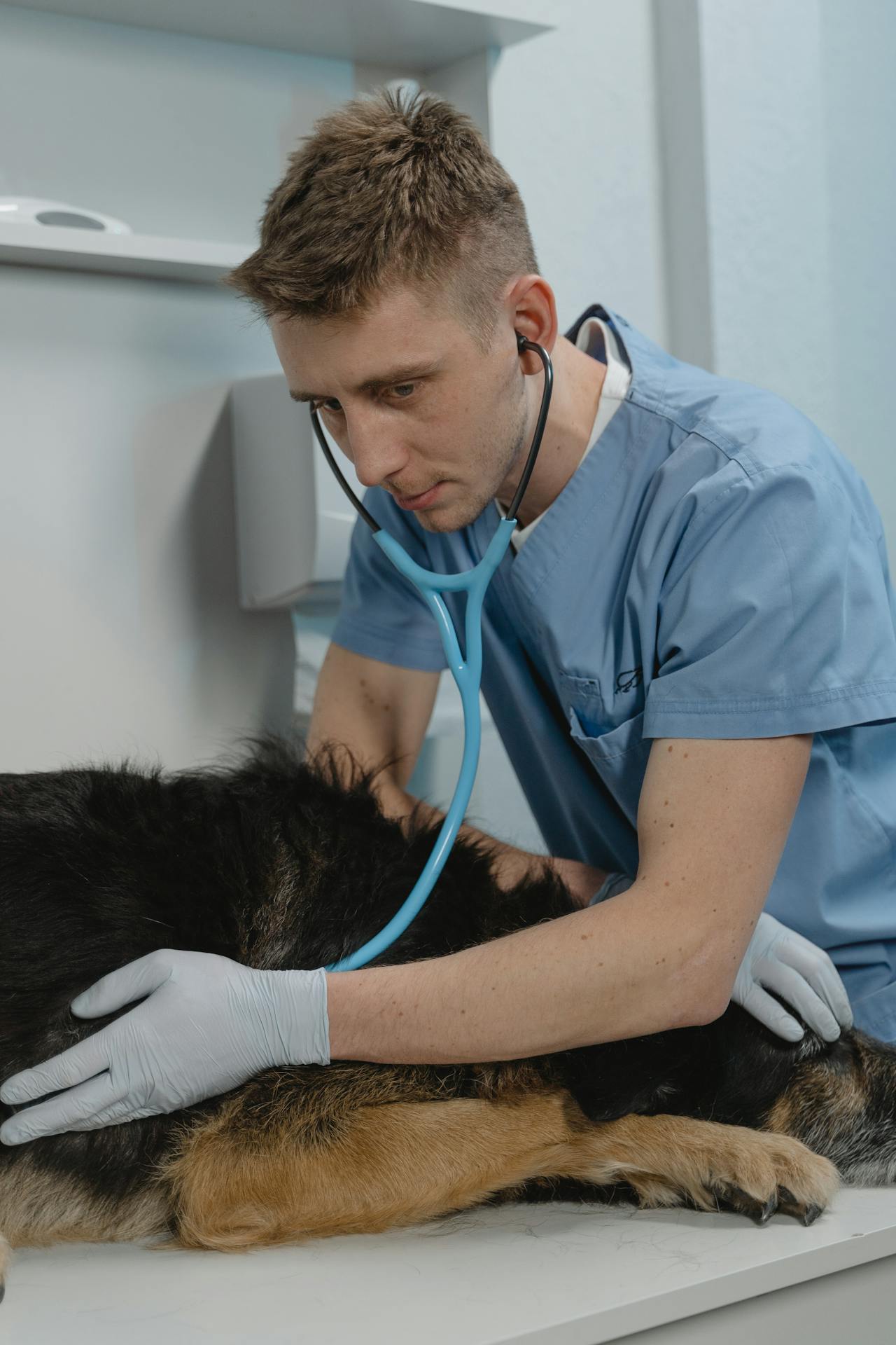 Improving Continuity in Community Programs Through Stable Veterinarian Placement
