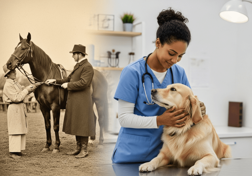 Veterinary Clinic image illustrating Understanding the History of Veterinary Client-Patient Relationships