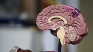 Psychiatric nurse practitioner consultation