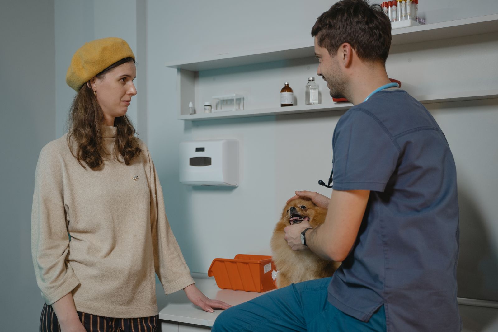 A veterinarian consults with a dog owner holding a Pomeranian in a clinic, illustrating relief veterinarian pay conversations