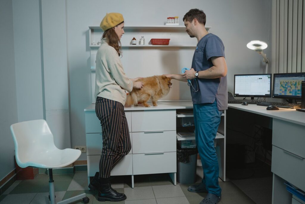 Veterinarian discussing care options with a pet owner in a modern clinic, illustrating veterinary staffing solutions