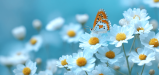 addressing-medicaid-fraud-in-autism-therapy