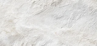 avoiding-common-mistakes-in-leptospirosis-diagnosis