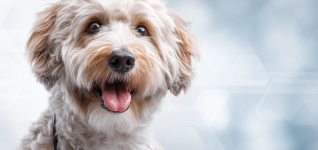 best-image-020226-1812