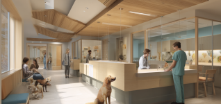 best-image-070126-1355