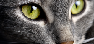 best-image-090126-2014