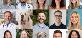 best-image-121125-1515