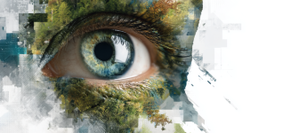 best-image-131125-2036