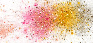 distinct-neural-networks-impulsivity-vs-neuroticism-in-youth