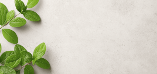 eco-friendly-practices-for-veterinary-medicine-on-earth-day