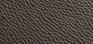 enhancing-cat-mobility-through-veterinary-diets