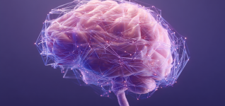 hippocampal-neurons-predict-future-rewards-by-shifting-activity