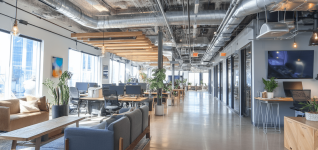 improving-workplace-ergonomics-for-veterinary-professionals