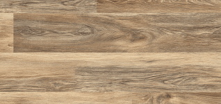 preventing-tetanus-in-horses-and-livestock