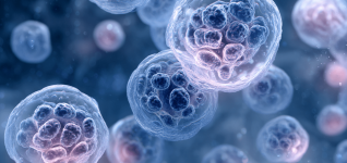 understanding-echinococcus-multilocularis-in-washington