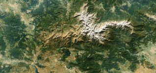 understanding-the-current-status-of-medetomidine-in-veterinary-medicine