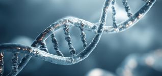 understanding-the-role-of-intestinal-microbiome-in-pets