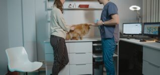 Veterinarian discussing care options with a pet owner in a modern clinic, illustrating veterinary staffing solutions